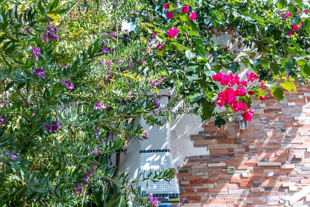 Vila Villino Claudia 30 Mt Mare Porto Cesareo Exteriér fotografie